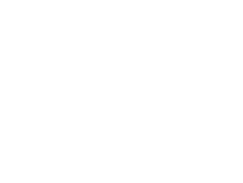 Baiocchi Wines Scrolled light version of the logo (Link to homepage)