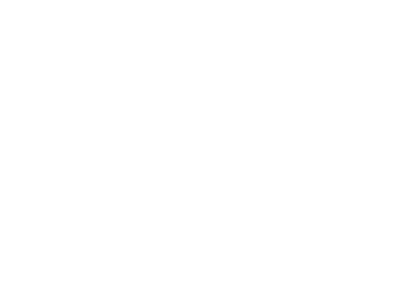 Baiocchi Wines Scrolled light version of the logo (Link to homepage)